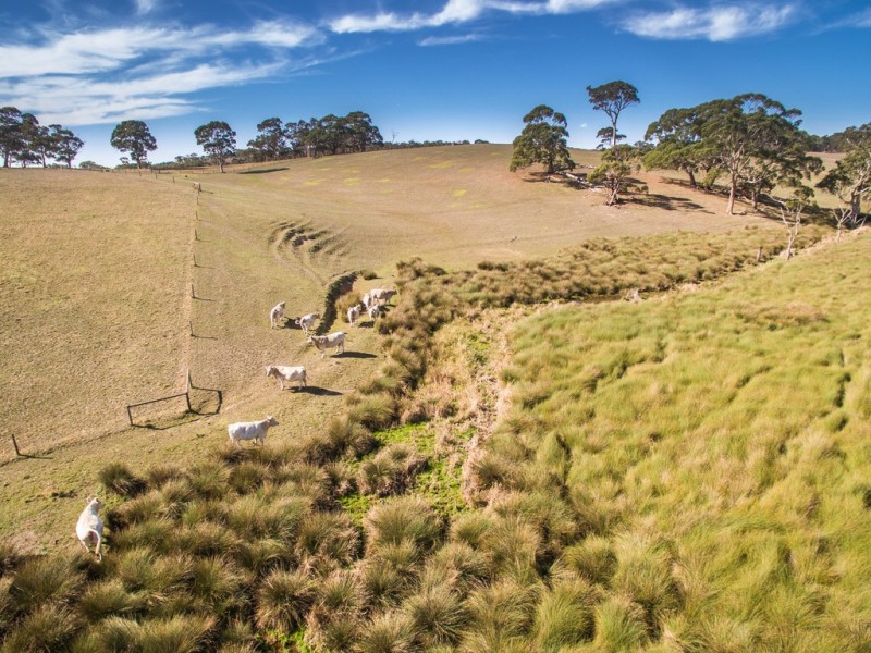 593 (A15) Flaxley Road, Echunga SA 5153