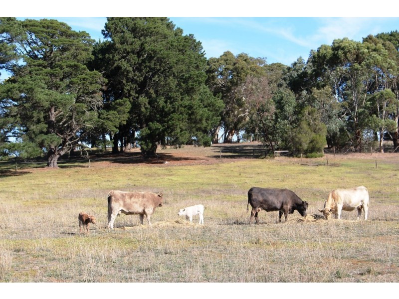 593 (A15) Flaxley Road, Echunga SA 5153