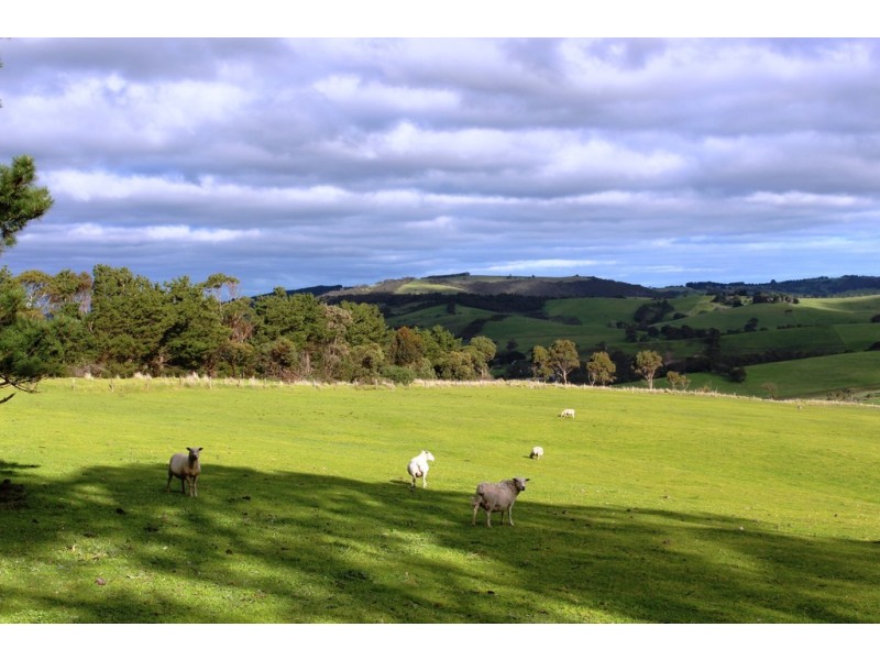 A9 Bald Hills Road, Bald Hills SA 5203