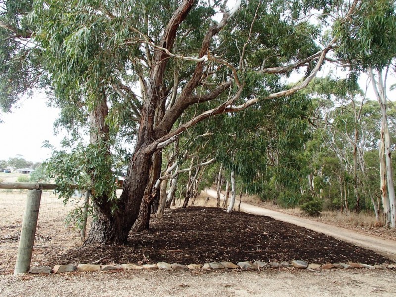 A4 Higgins Road, Port Elliot SA 5212