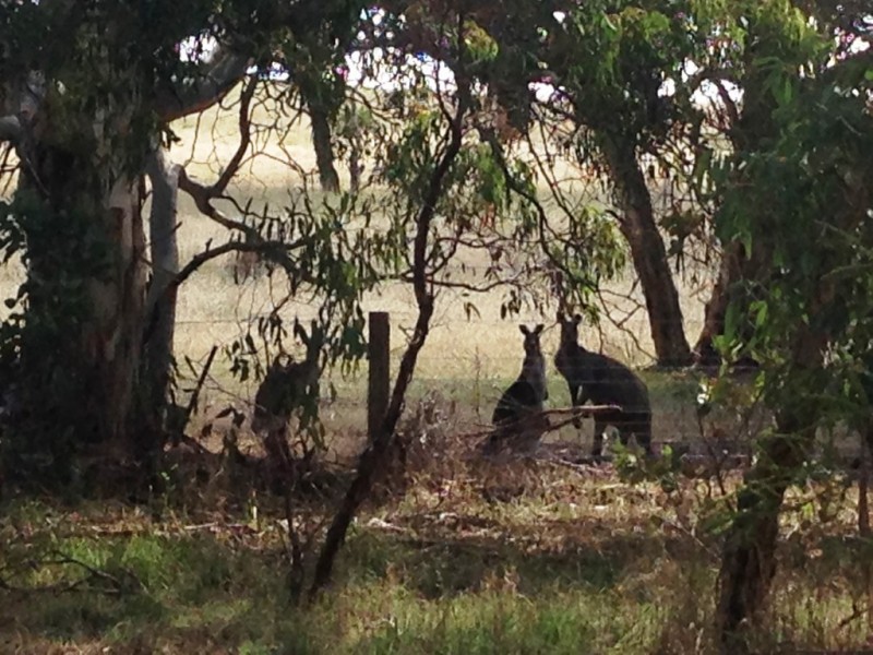 A4 Higgins Road, Port Elliot SA 5212