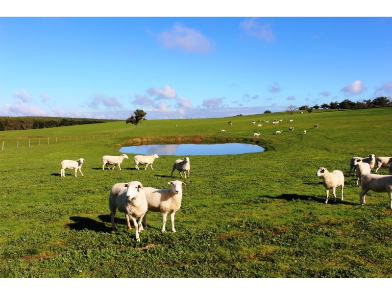 A 22 Lanacoona Road, Mount Compass SA 5210