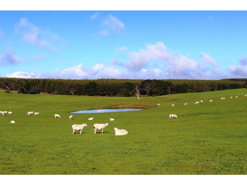 A 22 Lanacoona Road, Mount Compass SA 5210