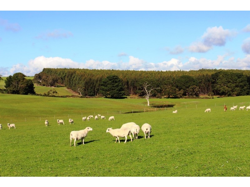 A 22 Lanacoona Road, Mount Compass SA 5210