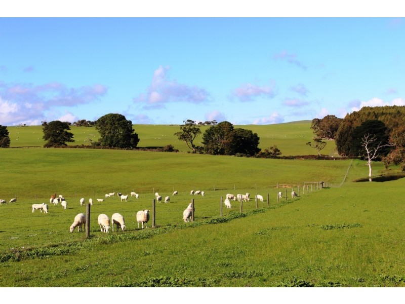 A 22 Lanacoona Road, Mount Compass SA 5210