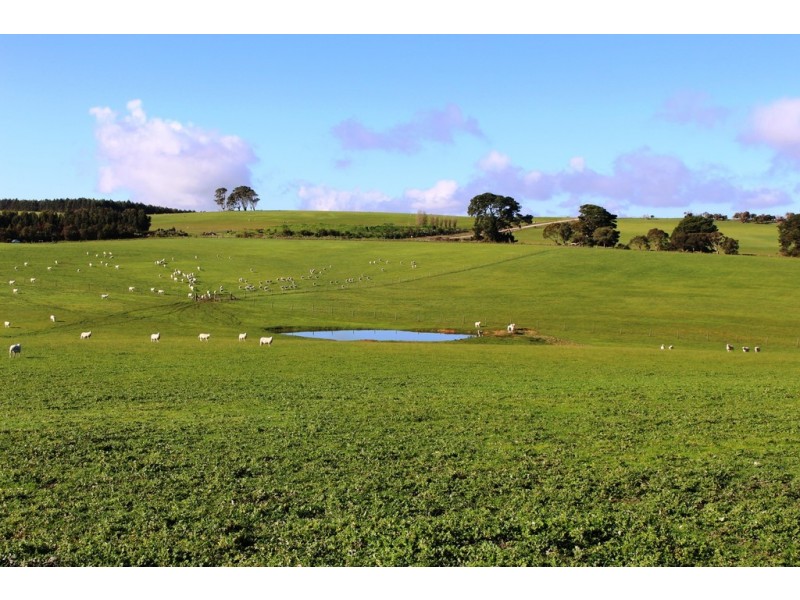 A 22 Lanacoona Road, Mount Compass SA 5210