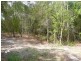 45 Golf Course Drive, Tewantin QLD 4565