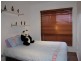 3 Wandi St, Tewantin QLD 4565