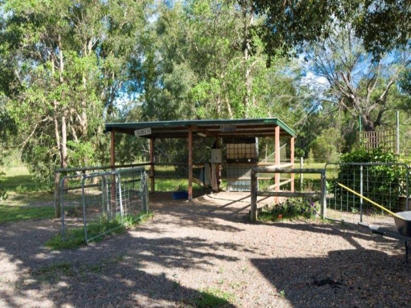 11 Stockwhip Ct, Cooroibah QLD 4565