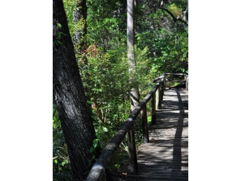 24/53 Banksia  Ave, Noosa Heads QLD 4567