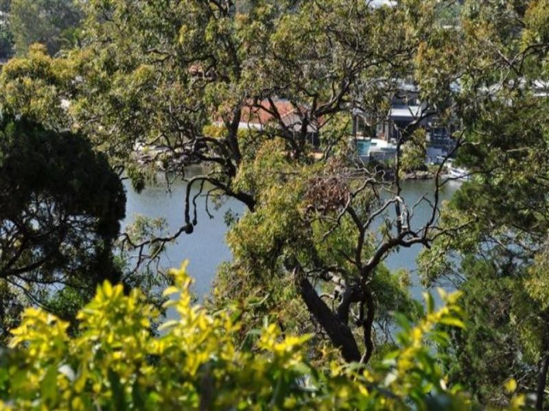 24/53 Banksia  Ave, Noosa Heads QLD 4567