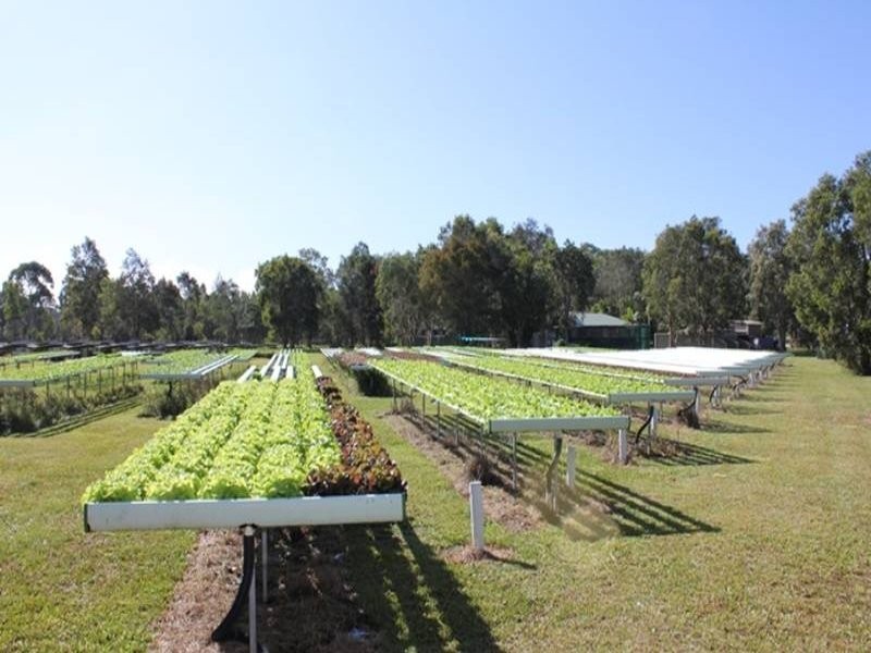 21 Silverdale Ct, Cooroibah QLD 4565