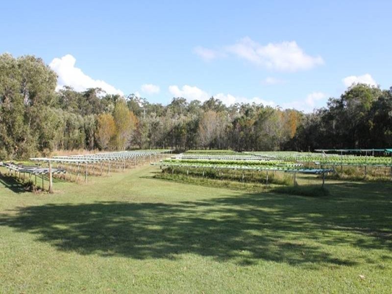21 Silverdale Ct, Cooroibah QLD 4565