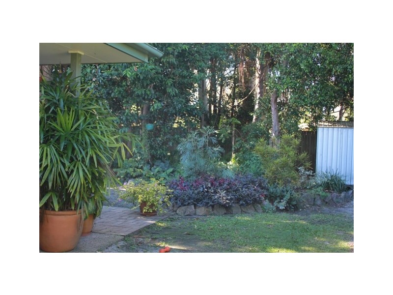 Tewantin QLD 4565