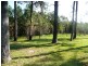 70 Read Street, Tewantin QLD 4565