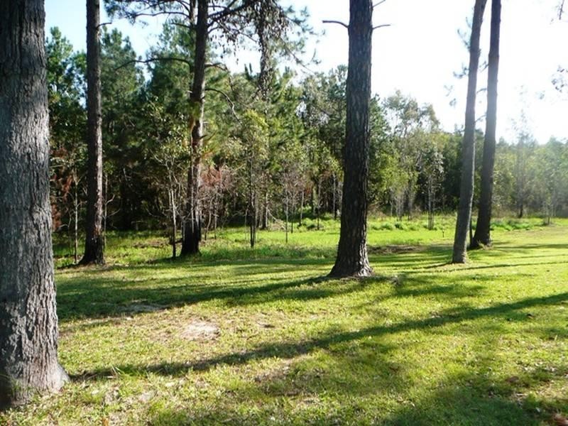 70 Read Street, Tewantin QLD 4565