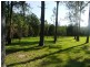 70 Read Street, Tewantin QLD 4565
