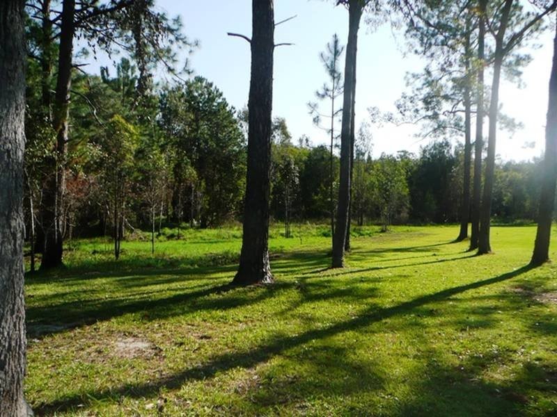 70 Read Street, Tewantin QLD 4565