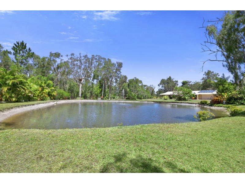 22 Turpentine Road, Ringtail Creek QLD 4565