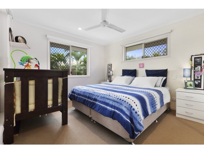 3 Perkins Place, Tewantin QLD 4565