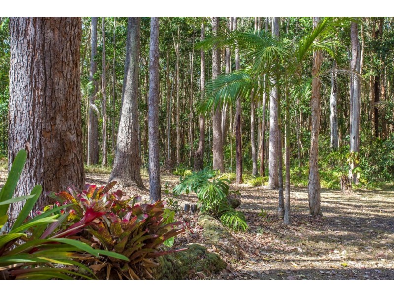 59 Parkdale Avenue, Doonan QLD 4562