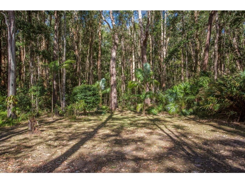 59 Parkdale Avenue, Doonan QLD 4562