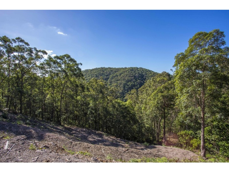 65 Honeydew Place, Ninderry QLD 4561