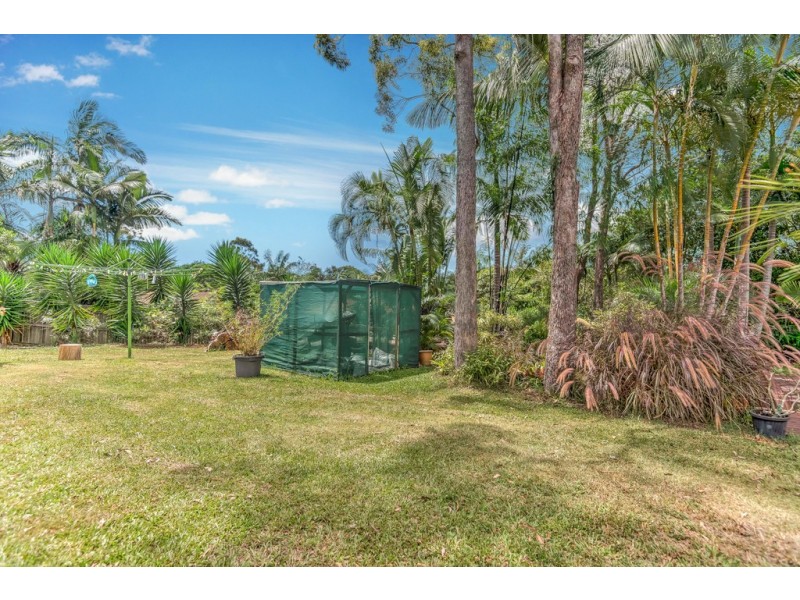 11 Waratah Close, Tewantin QLD 4565