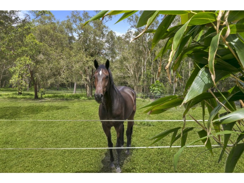 346 Lake Cooroibah Road, Cooroibah QLD 4565