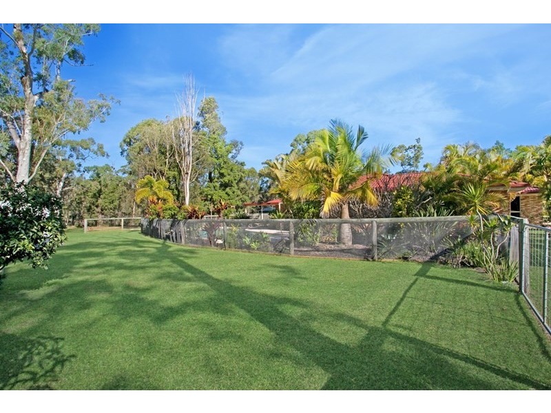 53 Coolah Place, Cooroibah QLD 4565