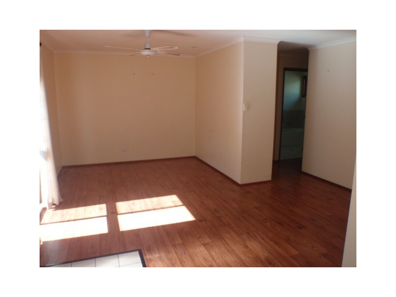 17 McNab Street, Tewantin QLD 4565
