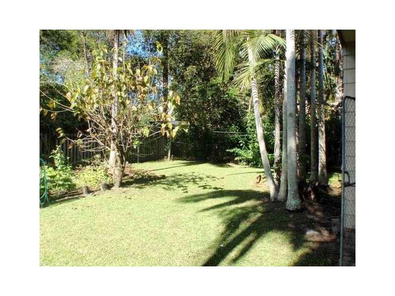 17 McNab Street, Tewantin QLD 4565