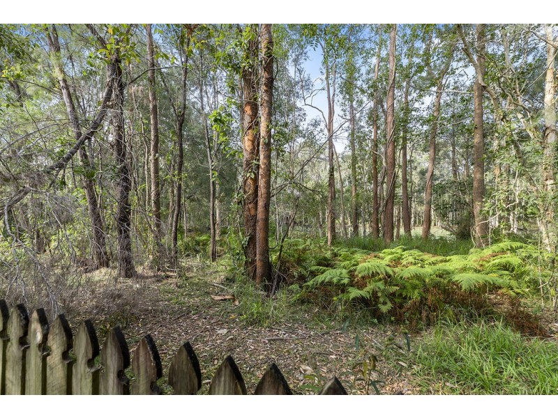 23 Silkwood Drive, Noosaville QLD 4566