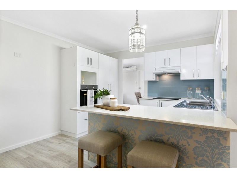 17 Agrippa Crescent, Tewantin QLD 4565