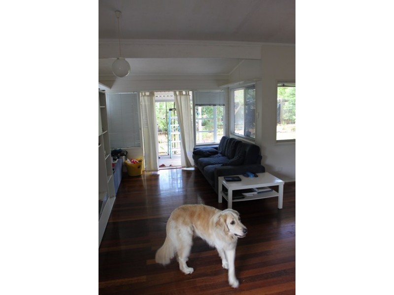 63 Gympie Street, Tewantin QLD 4565