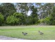 106 Woodhaven Way, Cooroibah QLD 4565