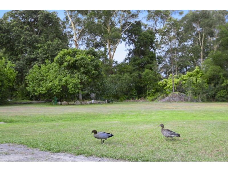 106 Woodhaven Way, Cooroibah QLD 4565