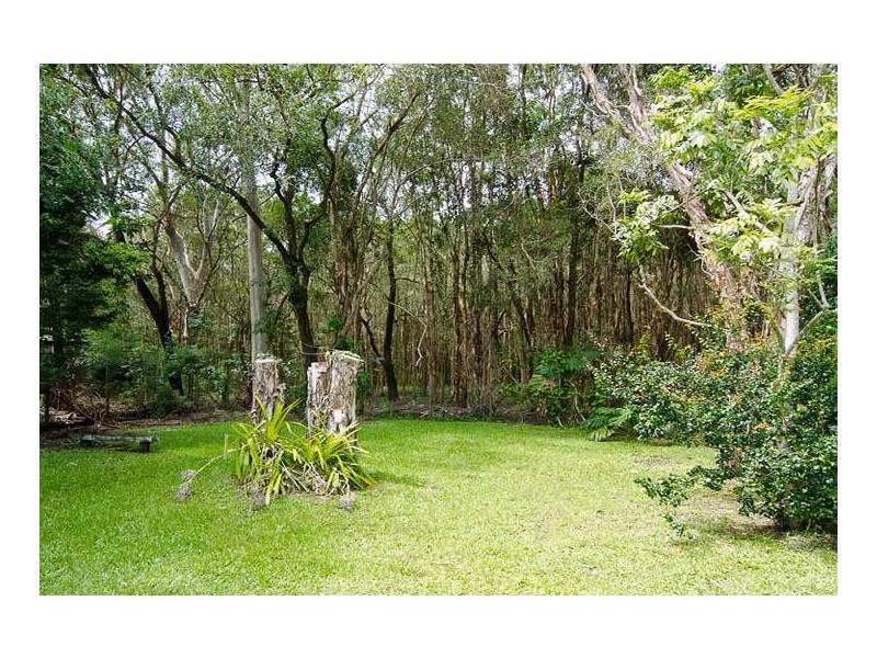 4 Lewis Street, Tewantin QLD 4565