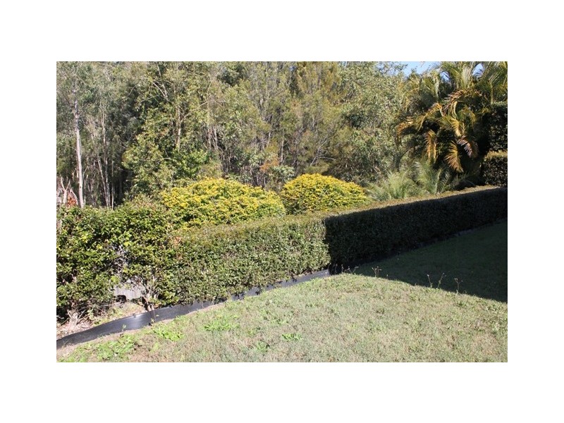 29  Talara Court, Tewantin QLD 4565