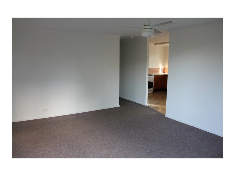 55  Overlander Avenue, Cooroy QLD 4563