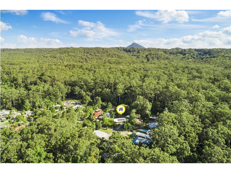 19 Forest Court, Tewantin QLD 4565