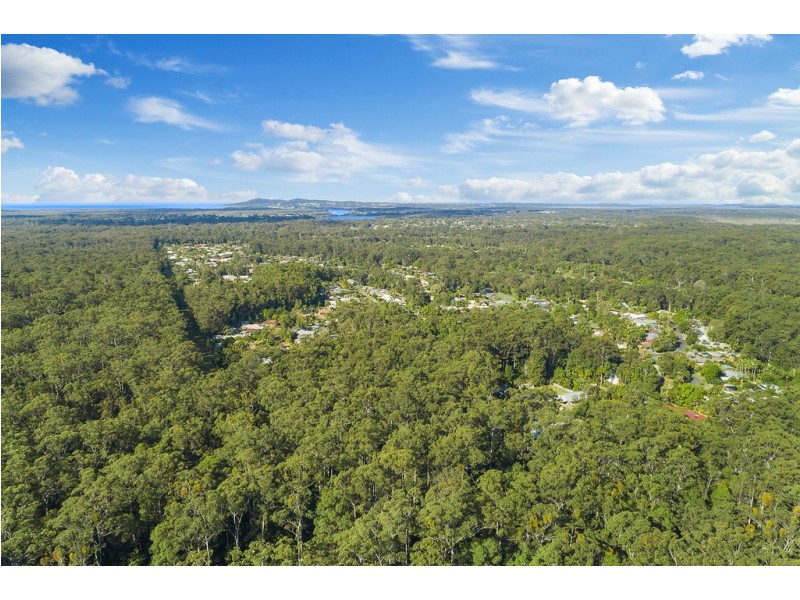 19 Forest Court, Tewantin QLD 4565