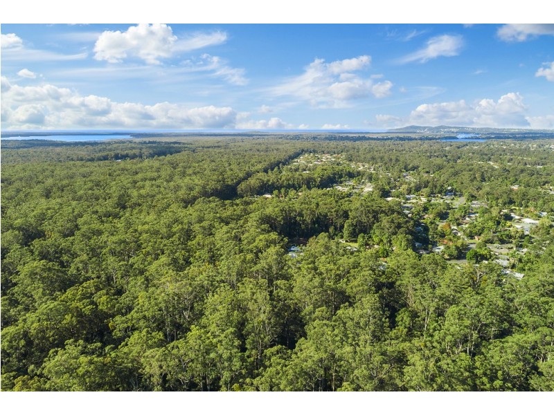 19 Forest Court, Tewantin QLD 4565
