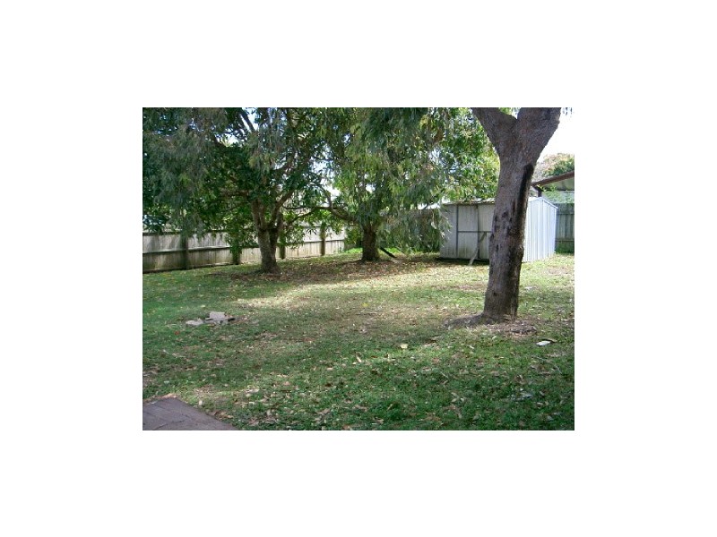 4 Linksland Street, Tewantin QLD 4565