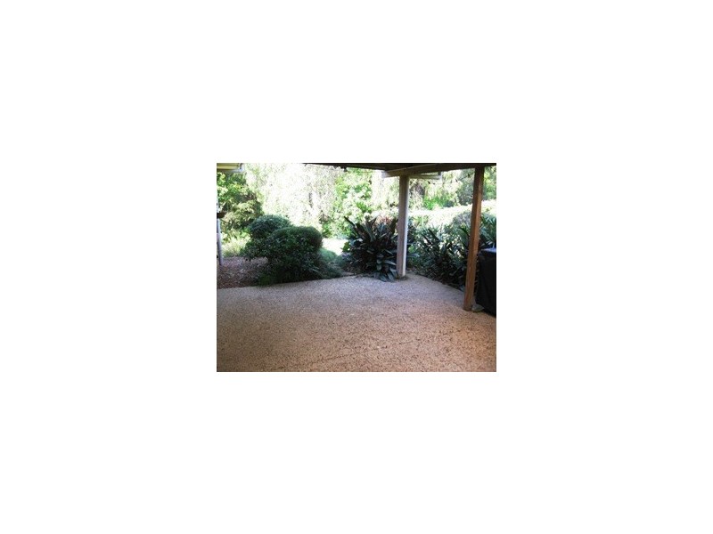 24 Waratah Street, Tewantin QLD 4565