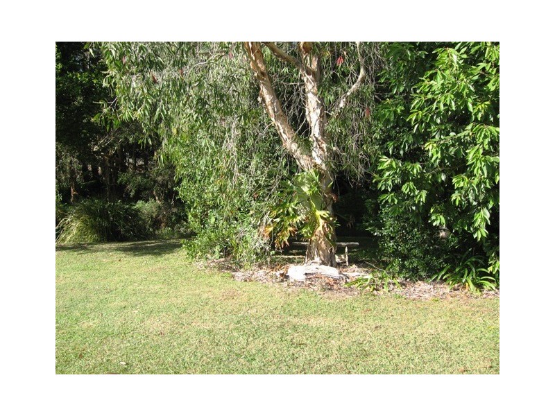 24 Waratah Street, Tewantin QLD 4565