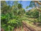 39 Tait Street, Tewantin QLD 4565