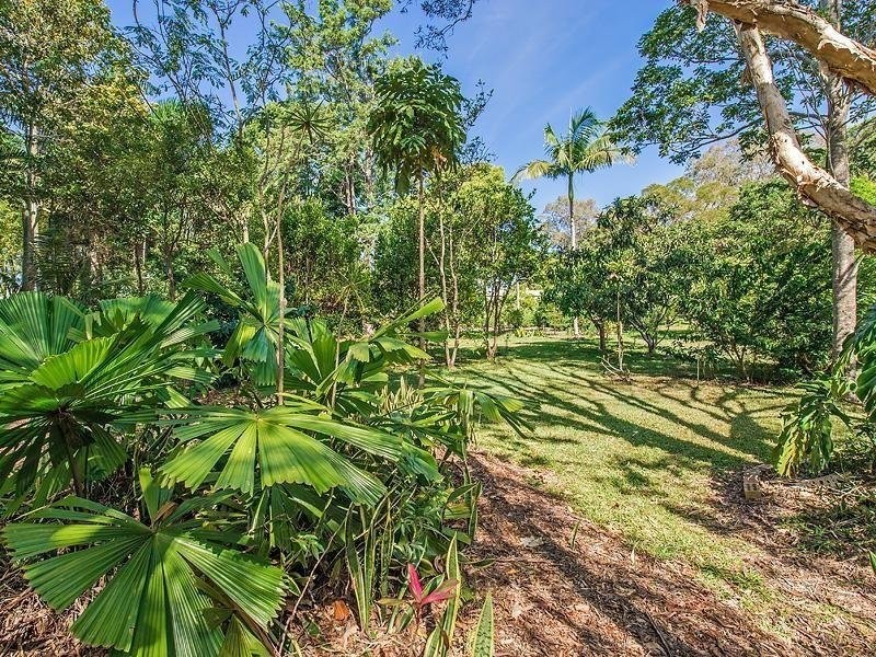 39 Tait Street, Tewantin QLD 4565