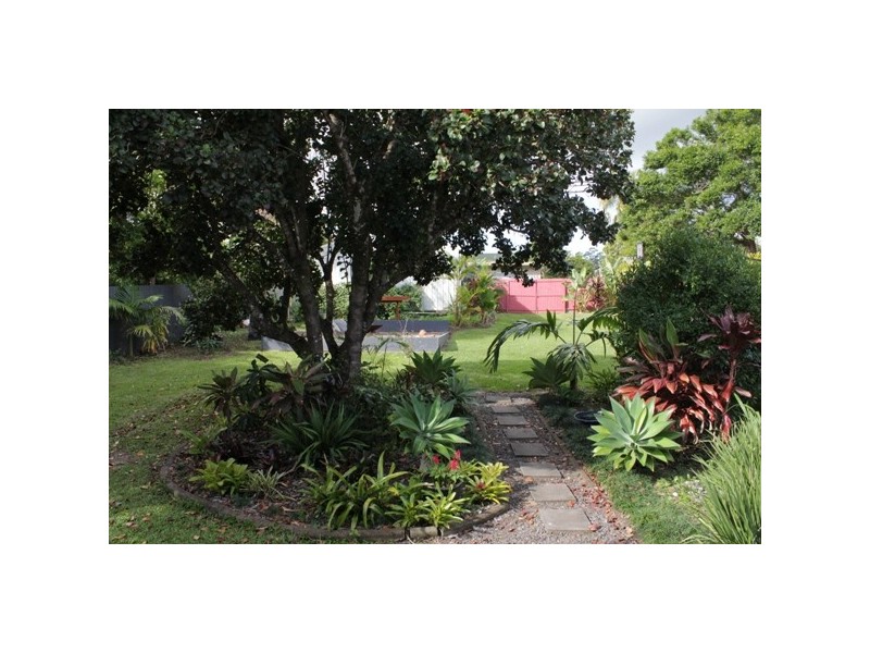 51 Kauri Street, Cooroy QLD 4563