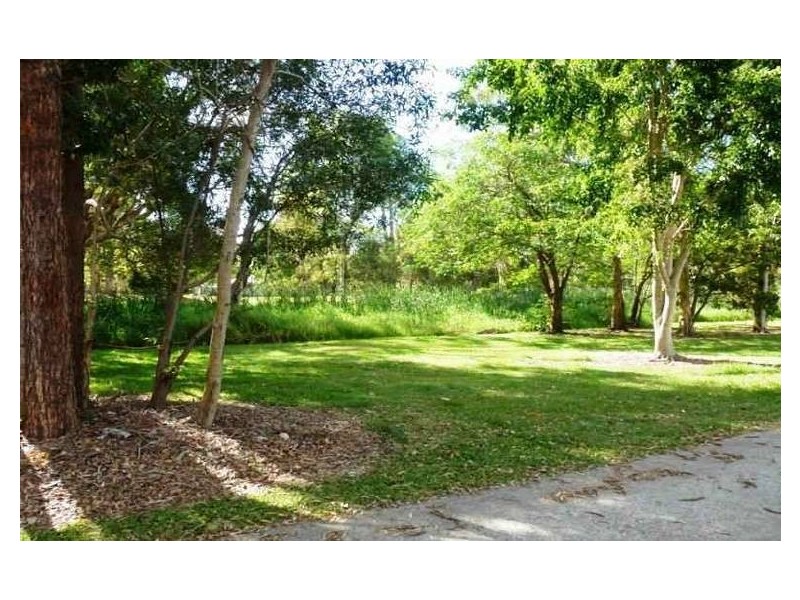 95 Read Street, Tewantin QLD 4565